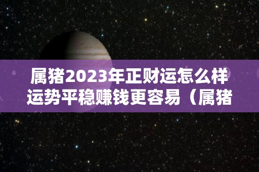 属猪2023年正财运怎么样运势平稳赚钱更容易（属猪在2023年的运势）