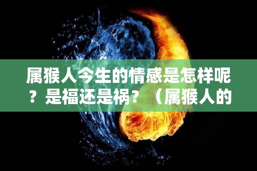 属猴人今生的情感是怎样呢？是福还是祸？（属猴人的一生运势怎么样）