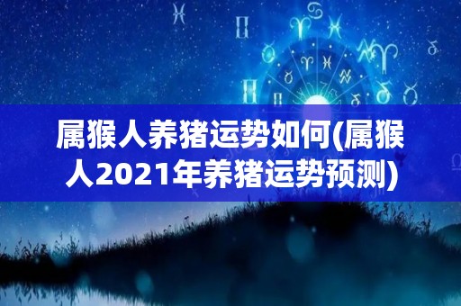 属猴人养猪运势如何(属猴人2021年养猪运势预测)