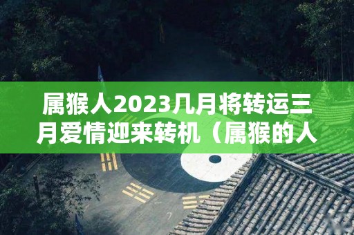 属猴人2023几月将转运三月爱情迎来转机（属猴的人2023）