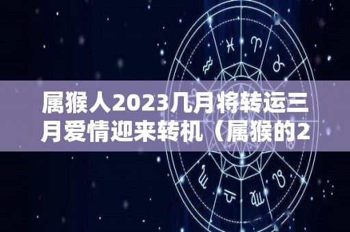 属猴人2023几月将转运三月爱情迎来转机（属猴的2023年每月运势及运程）