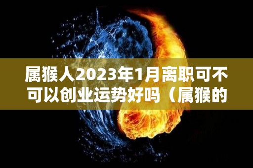 属猴人2023年1月离职可不可以创业运势好吗（属猴的人在2023年怎么样）