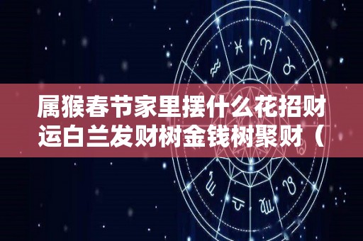 属猴春节家里摆什么花招财运白兰发财树金钱树聚财（属猴的在家放什么植物好）