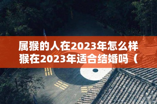 属猴的人在2023年怎么样猴在2023年适合结婚吗（属猴 2023）