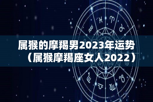 属猴的摩羯男2023年运势（属猴摩羯座女人2022）