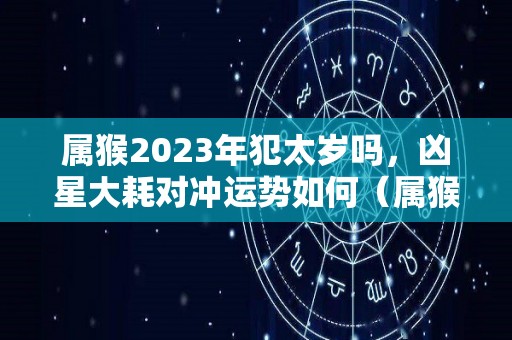 属猴2023年犯太岁吗，凶星大耗对冲运势如何（属猴 2023）