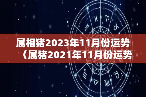 属相猪2023年11月份运势（属猪2021年11月份运势）