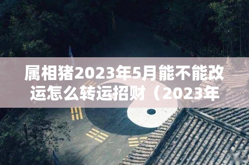 属相猪2023年5月能不能改运怎么转运招财（2023年猪的运势及运程）