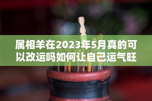 属相羊在2023年5月真的可以改运吗如何让自己运气旺起来（2023年属羊好不好）