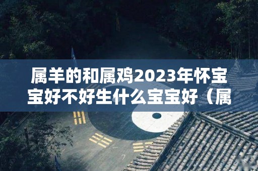 属羊的和属鸡2023年怀宝宝好不好生什么宝宝好（属羊和属鸡适合生属狗的好吗）