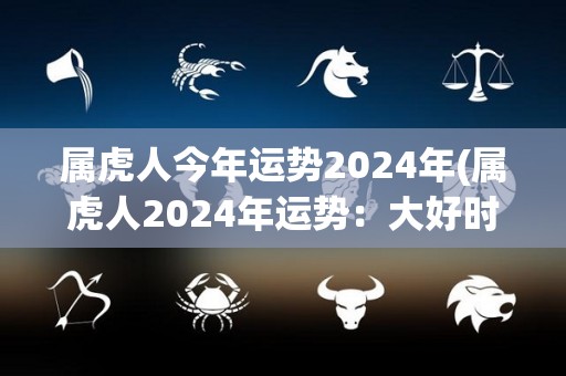 属虎人今年运势2024年(属虎人2024年运势：大好时机，把握住机会腾飞！)