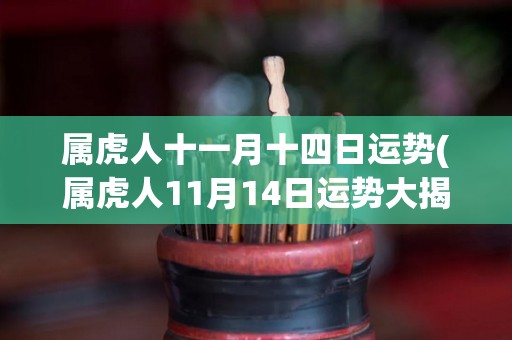 属虎人十一月十四日运势(属虎人11月14日运势大揭秘！)