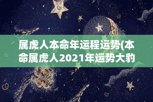 属虎人本命年运程运势(本命属虎人2021年运势大豹发！)