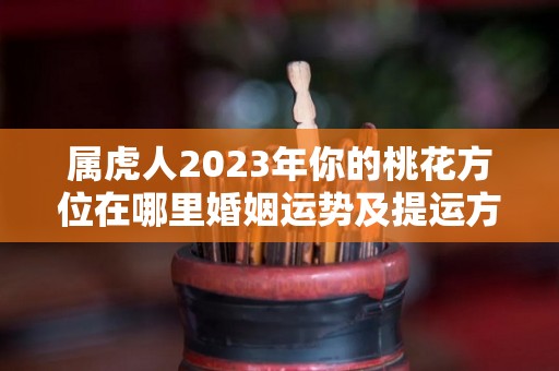 属虎人2023年你的桃花方位在哪里婚姻运势及提运方法（2023年属虎人的感情和婚姻）