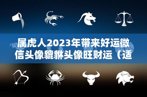 属虎人2023年带来好运微信头像貔貅头像旺财运（适合属虎人2020年的微信头像）