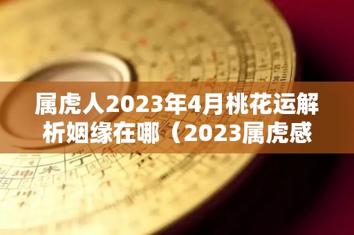 属虎人2023年4月桃花运解析姻缘在哪（2023属虎感情）