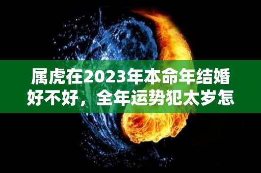 属虎在2023年本命年结婚好不好，全年运势犯太岁怎么化解（属虎2022年本命年能结婚吗）