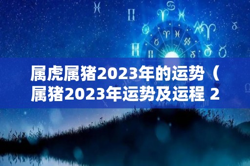 属虎属猪2023年的运势（属猪2023年运势及运程 2023年属猪人的全年每月运势）