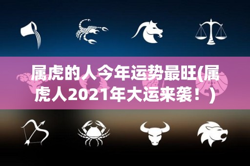 属虎的人今年运势最旺(属虎人2021年大运来袭！)