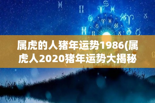 属虎的人猪年运势1986(属虎人2020猪年运势大揭秘)