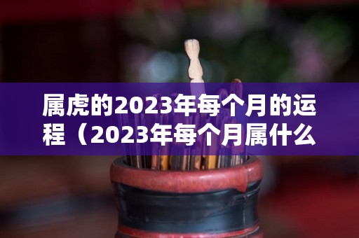 属虎的2023年每个月的运程（2023年每个月属什么）