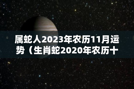 属蛇人2023年农历11月运势（生肖蛇2020年农历十一月运势）