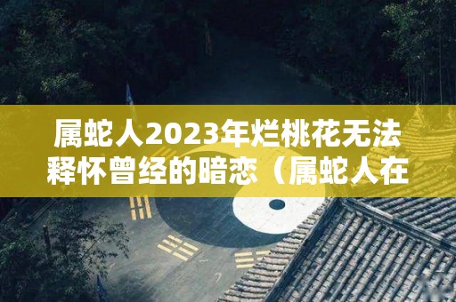 属蛇人2023年烂桃花无法释怀曾经的暗恋（属蛇人在2023年的运势如何）