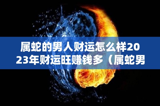 属蛇的男人财运怎么样2023年财运旺赚钱多（属蛇男2023年命运如何）