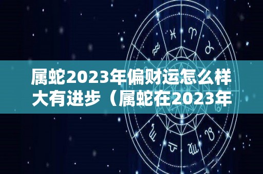 属蛇2023年偏财运怎么样大有进步（属蛇在2023年的运程是怎么样）