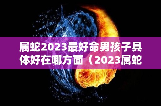 属蛇2023最好命男孩子具体好在哪方面（2023属蛇男人的运势和财运）