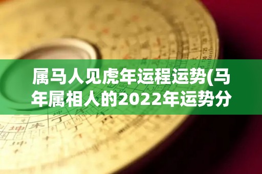 属马人见虎年运程运势(马年属相人的2022年运势分析)