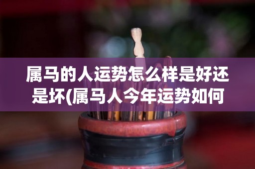 属马的人运势怎么样是好还是坏(属马人今年运势如何？快来看看！)