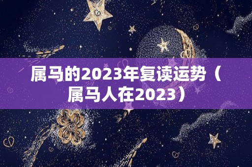 属马的2023年复读运势（属马人在2023）