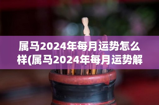 属马2024年每月运势怎么样(属马2024年每月运势解析)