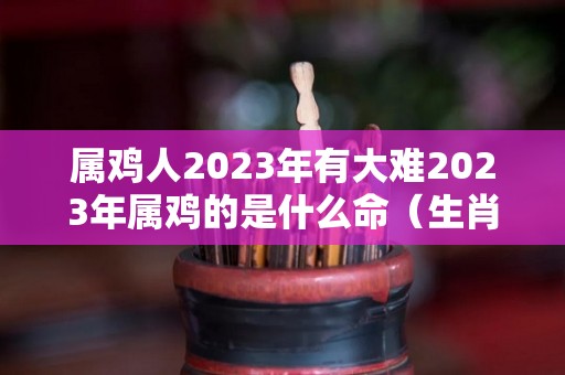 属鸡人2023年有大难2023年属鸡的是什么命（生肖鸡在2023年的运势以及注意月份）