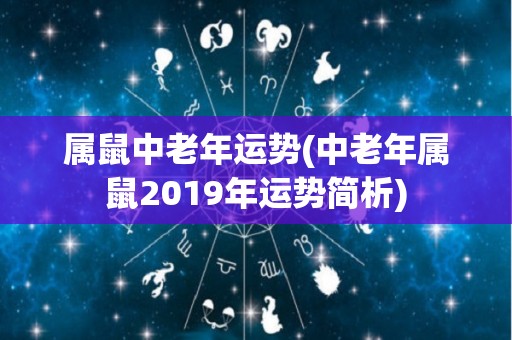 属鼠中老年运势(中老年属鼠2019年运势简析)