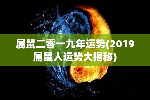 属鼠二零一九年运势(2019属鼠人运势大揭秘)