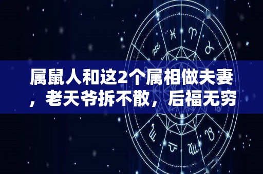 属鼠人和这2个属相做夫妻，老天爷拆不散，后福无穷（属鼠的和属什么的婚姻不好）