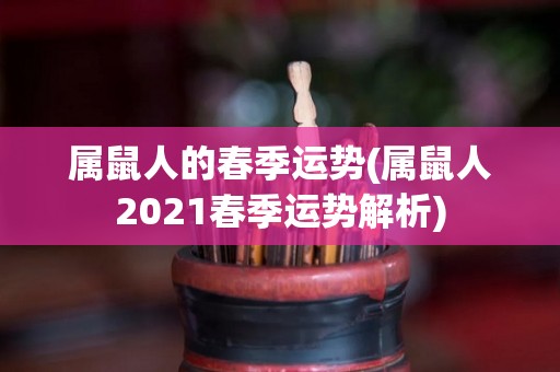 属鼠人的春季运势(属鼠人2021春季运势解析)