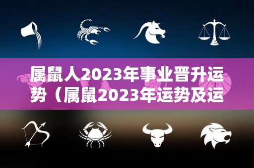 属鼠人2023年事业晋升运势（属鼠2023年运势及运程2022年属鼠人的全年每月运势）