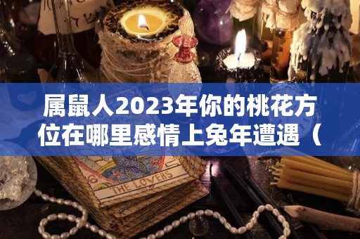 属鼠人2023年你的桃花方位在哪里感情上兔年遭遇（属鼠人在2023年运势）