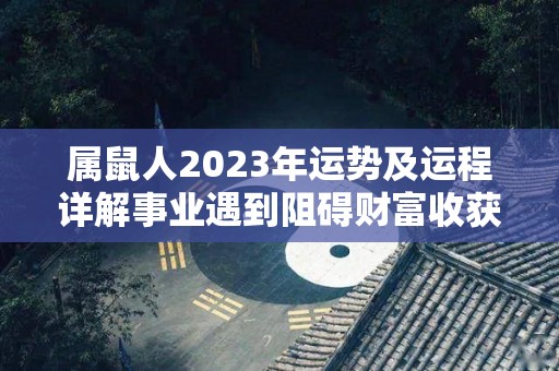 属鼠人2023年运势及运程详解事业遇到阻碍财富收获满满（属鼠2023年运势及运程2022年属鼠人的全年每月运势）