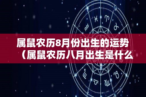 属鼠农历8月份出生的运势（属鼠农历八月出生是什么命运）