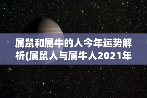 属鼠和属牛的人今年运势解析(属鼠人与属牛人2021年的运势大揭秘)