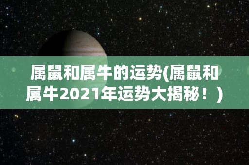 属鼠和属牛的运势(属鼠和属牛2021年运势大揭秘！)