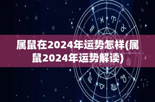 属鼠在2024年运势怎样(属鼠2024年运势解读)