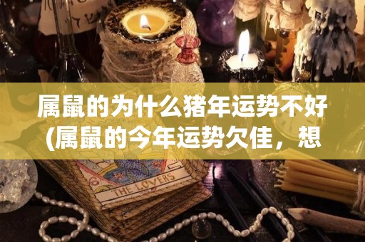 属鼠的为什么猪年运势不好(属鼠的今年运势欠佳，想知道原因？)