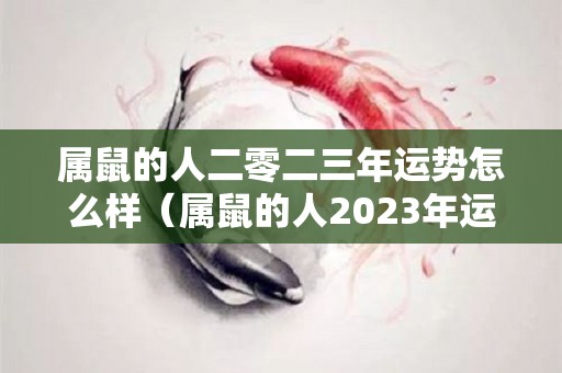 属鼠的人二零二三年运势怎么样（属鼠的人2023年运势及运程）