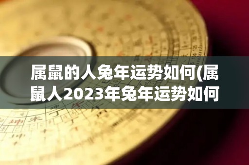 属鼠的人兔年运势如何(属鼠人2023年兔年运势如何？)