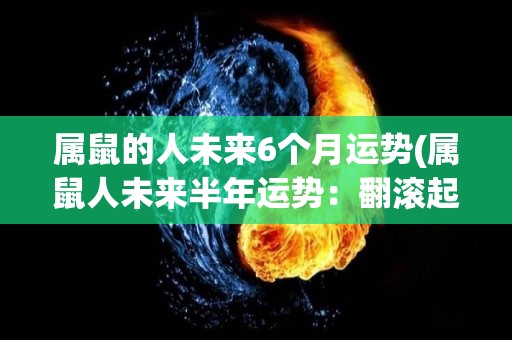 属鼠的人未来6个月运势(属鼠人未来半年运势：翻滚起伏波动，须保持理智把握机遇。)